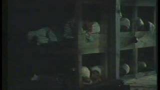 Historia del Pueblo Gitano V