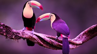 Stress Relief Healing Music | Positive Energy Music 432Hz | Detox Your Mind | Miracle Healing Tone