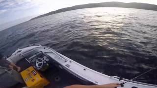 Snapper fishing - Moreton Bay Micro jigging