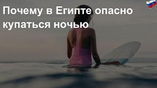 Почему в Египте опасно купаться ночью