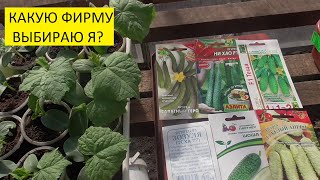 Семена огурцов каких фирм я покупаю? 