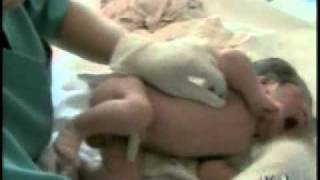 2011-04-30 保健园地短讯: 生殖器疱疹病毒易传染