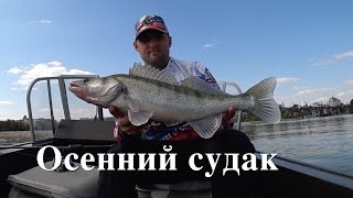 СУДАК НА ДЖИГ. ЛОВЛЯ С ПЕРЕГРУЗОМ. Мастер класс от спортсмена.