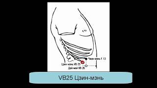 VB25 Цзин-мэнь