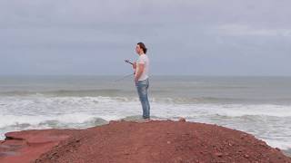 ViKing (Violin King) - Legzira