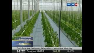Агробизнес от 24.03.2012. Овощи со второго этажа!