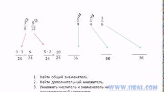 сокращение обыкновенных дробей