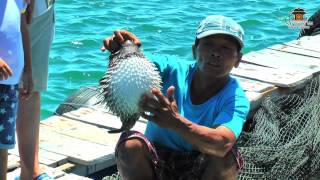 Морская прогулка на катамаране, Нячанг