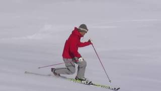 Telemark Demo (テレマーク)