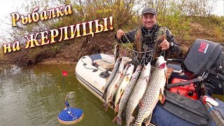 Как Ловить ЩУК на ЖЕРЛИЦЫ - 2 часть! Способ ОСНАСТКИ и НАЖИВКИ Жерлиц!
