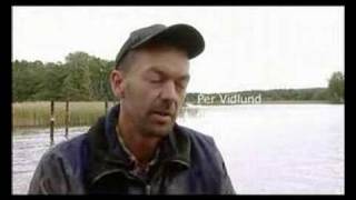 Selektiv fångsthantering vid insjöfiske med fasta redskap