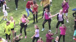 MDT ZUS CV 2015