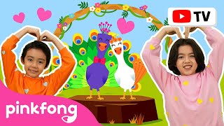 ¿Te Casas Conmigo? | Pinkfong Canta & Baila | Canciones ​Infantiles | Pinkfong en español