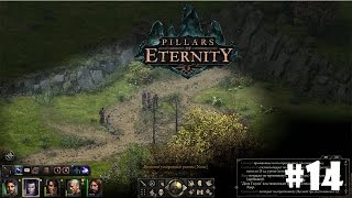 Pillars of Eternity #14 - Маграново распутье