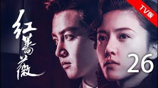 红蔷薇 26丨Wild Rose 26（主演:杨子姗,陈晓,毛林林,谭凯）【TV版】
