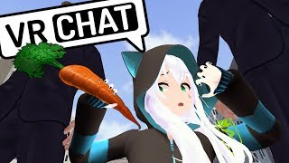 VRCHAT - ДЕВУШКА КОТОРАЯ ЛЮБИТ МОРКОВЬ ? (ВР ЧАТ МОНТАЖ)