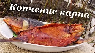 Копчение карпа, коптильня горячего копчения