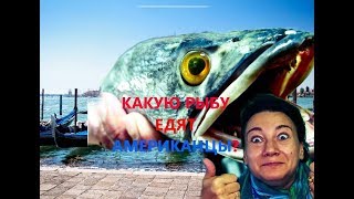 Какую рыбу едят американцы. Свежая, копченая рыба в США.