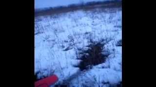 sbach 342 (плосколет, потолочка)