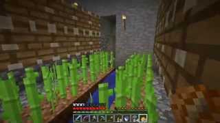 Minecraft singleplayer #9 Farma trzciny