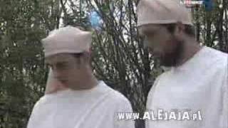 Żwirek i Muchomorek