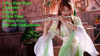 way back home top những bài hát âu mỹ hay nhất sáo trúc-nhac 8D-G channel-