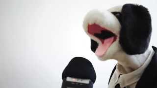 ASMR - Muppet Dog Biting, Brushing a Microphone + No Talking + Strong Sounds