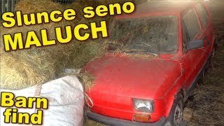 Event-VLOG #86 - SLUNCE SENO MALUCH ⟰ barn find Fiat 126p
