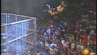 SUPER VUELO DE EXTREME TIGER