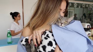 OPERARON A TITA ?? | VLOGMAS #13 | Natalia Sin Filtro