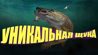 РЫБАЛКА | Рыбалка на спиннинг | Рыбалка на Блесну | Уникальная Щука.