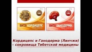Часть 1: Кордицепс, Ганодерма и Женьшень - священная Тибетская тройка