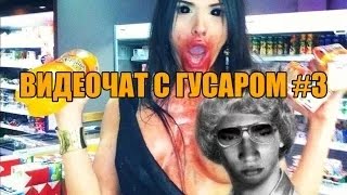 ВИДЕОЧАТ С ГУСАРОМ #3
