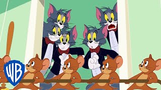 Tom & Jerry in italiano ???????? | L'attacco dei cloni 