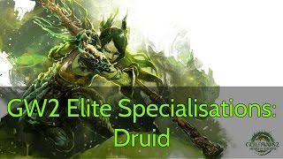 GW2 Elite Specialisation Guide: DRUID