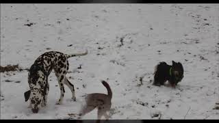 sneeuwpret