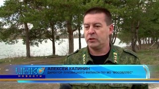 Пожарная и санитарная безопасность в лесах и около водоемов