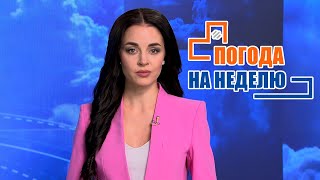 Придут серьёзные морозы! Погода на неделю | Прогноз погоды с 28 ноября по 4 декабря | Плюс-минус