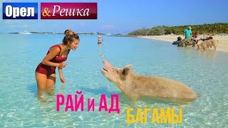 Орел и решка. Рай и Ад - Райские Багамы  (1080p HD)