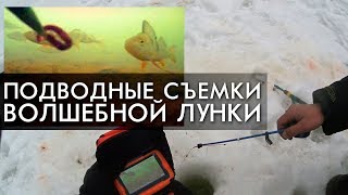 ПОДВОДНЫЕ СЪЕМКИ ВОЛШЕБНОЙ ЛУНКИ / ЗАКЛЮЧИТЕЛЬНЫЙ ДЕНЬ НА ТАЕЖНОЙ РЕКЕ / РЫБАЛКА ВЕСНА 2019