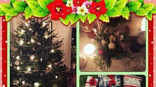 VLOG!!! Как празднуют Рождество в Норвегии???