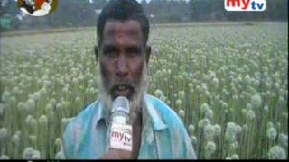 Nuruzzaman Farabi PKG (2. 3. 16) Fodirdpur Peyaj Chash
