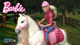 Barbie Dreamhorse and Barbie Doll Playset Review & Instructions | Mattel Toys