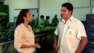 PROGRAMA CONEXÃO BRASIL- AGRICULTURA FAMILIAR