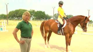 How To Ride a Horse