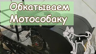 Обкатка Мотособаки "LIFAN" по бездорожью и Теплая Палатка"СНЕГИРЬ"