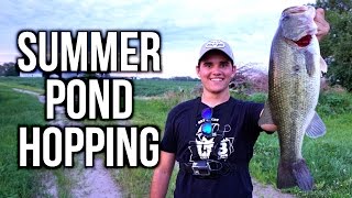 Pond Fishing for BIG Summer Bass