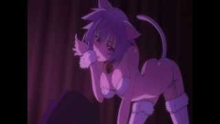 Infinite Stratos: Tatenashi Sarashiki Cat Girl Costume