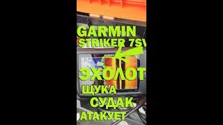 ЩУКА И СУДАК на эхолоте Garmin Striker 7sv/ CHIRP DownVu+SideVu