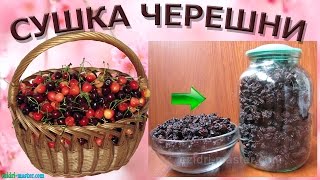 Вяленая черешня в Ezidri Snackmaker FD500